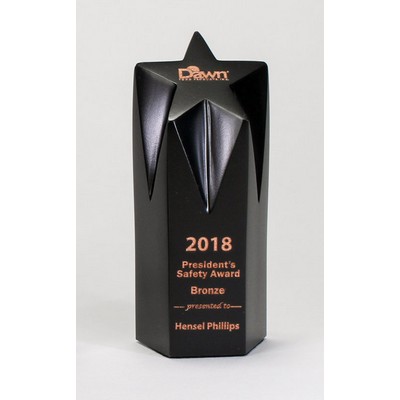 6" Small Star Award