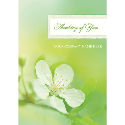 Apple Blosom Sympathy Cards