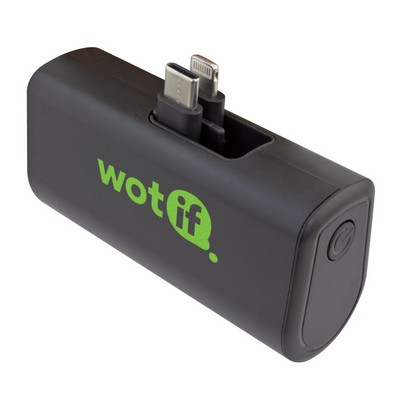 Dual Plug Power Bank