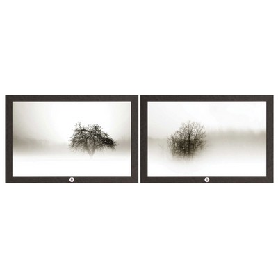 In the Mist I and II