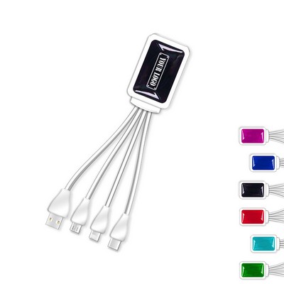 Epoxy 3-N-1 Charge Cable