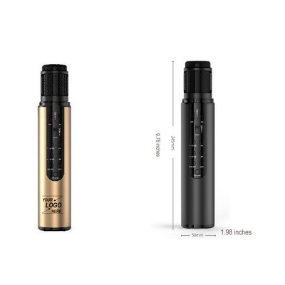 Wireless Karaoke Microphone with Speaker System