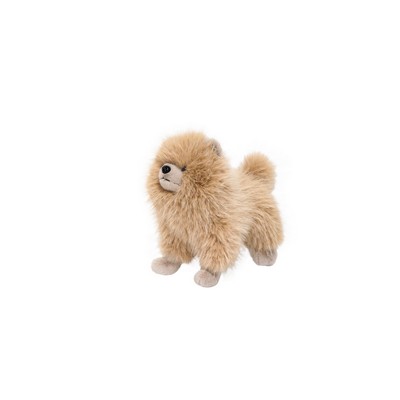 Fluffy Dog