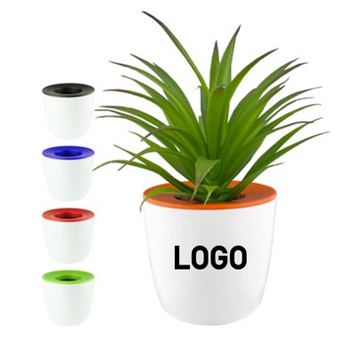 Mini Desktop Plastic Planter