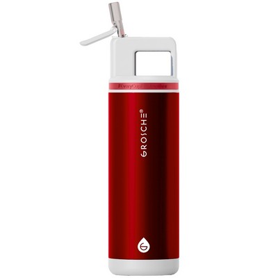 GROSCHE ALPINE Flip N Sip Insulated Water Bottle, Leakproof 20oz Bottle, Stainless Steel Flask