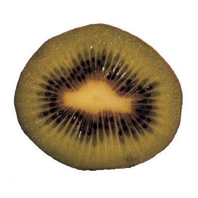 Kiwi Acrylic Coaster w/Felt Back