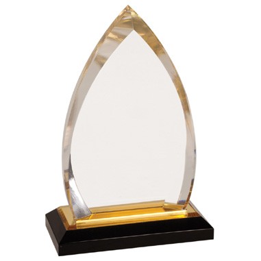7" Oval Acrylic Award with Gold Accent (Sandblasted)