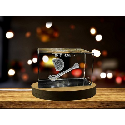 Bone Marrow Art Recognition Trophy