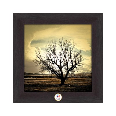 Solo Tree