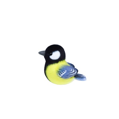 Small Black and Yellow Parus