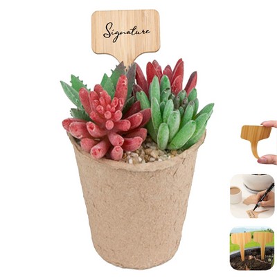 Eco-Friendly Wooden Plant Markers