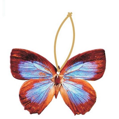 Blue & Brown Butterfly Promotional Ornament w/ Black Back (2 Square Inch)