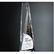 Serenity Award 12"
