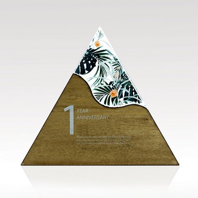 Triangle Acrylic & Wood Award - Small