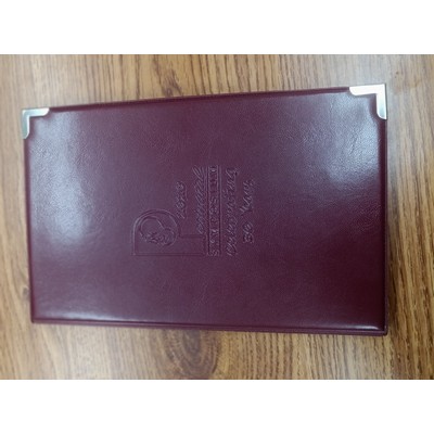 Stock Vinyl Jr Desk Folder