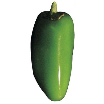 Jalapeno Maxi Magnet (10 Square Inch)