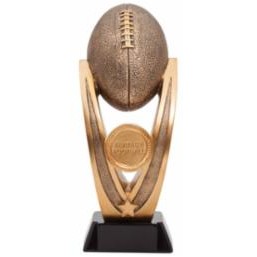 Large Fantasy Football Award