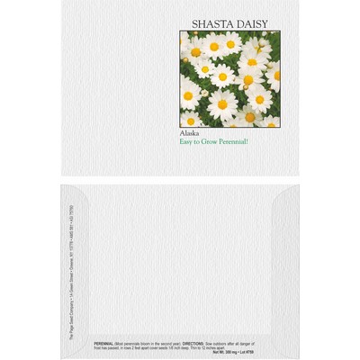 Impression Series Daisy Seeds