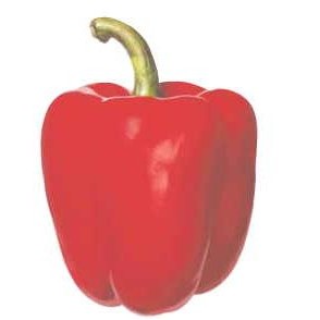Bell Pepper Promotional Magnet w/ Strip Magnet (3 Square Inch)