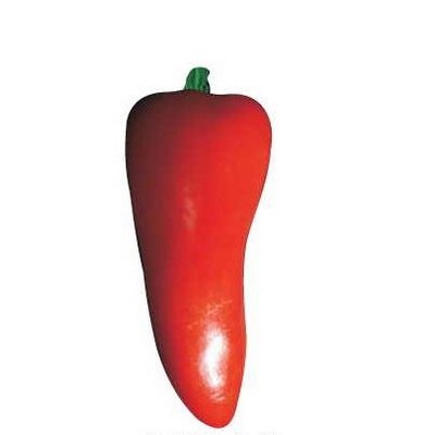 Red Chili Pepper Promotional Magnet w/ Strip Magnet (4 Square Inch)