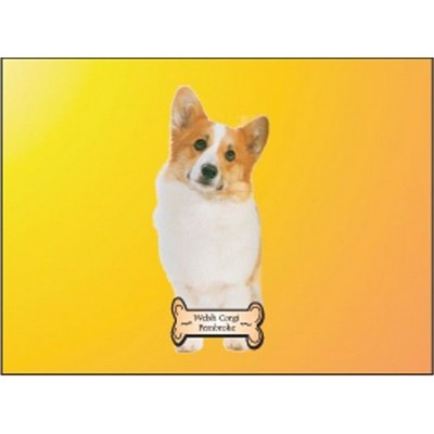 Welsh Corgi Dog Rectangle Metal Photo Magnet (2"x3")