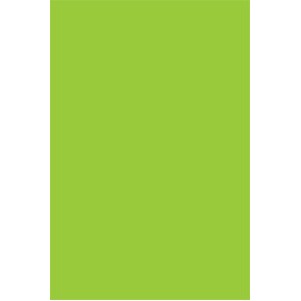 Fluorescent Green Rectangle Labels - 4" x 6"