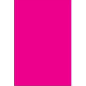 Fluorescent Pink Rectangle Labels - 3" x 10"
