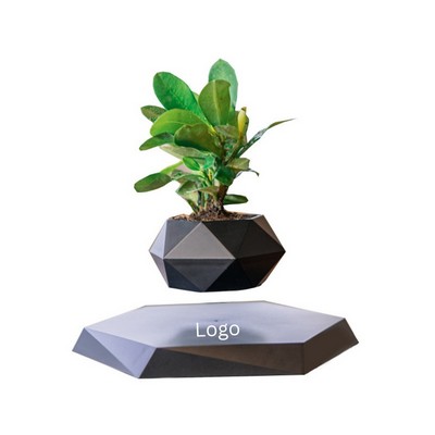 Small Plant pots Floating Flower Pot