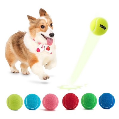 Canine Play Balls