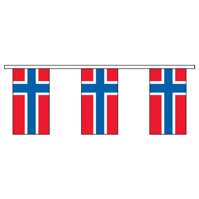 60' Norway International Collection Display Flag