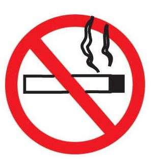 No Smoking Sign Maxi Magnet (6 Square Inch)