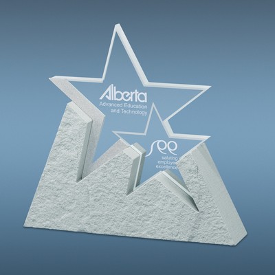 Enterprise 6 Award
