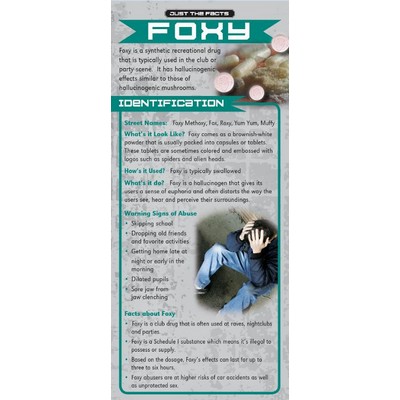Foxy Just the Facts Rack Card (4" x 9")