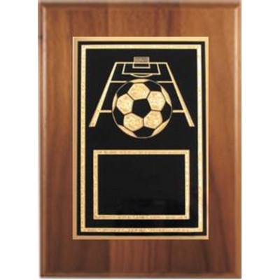 Cherry Plaque 6" x 8" - With a Soccer 4" x 6" Activity Plate