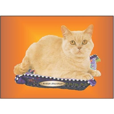 British Shorthair Cat Rectangle Metal Photo Magnet (2"x3")
