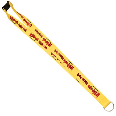 Lanyard