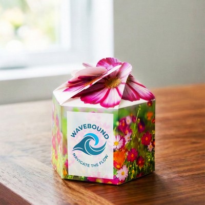 "Pop Up" Starter Kit