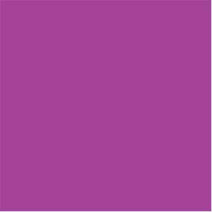Purple Square Labels - 2.5" x 2.5"