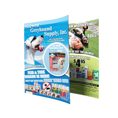 12" x 18" - Full Color Flyers -100# Gloss Book - UV Coating