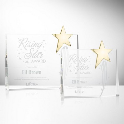 Bradenton Gold Star Award