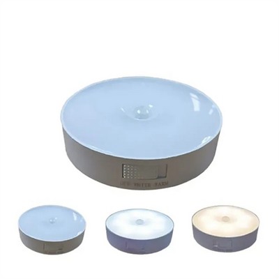 Rechargeable Motion LED Sensor Light
