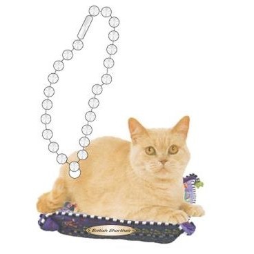 British Shorthair Cat Promotional Key Chain w/ Black Back (3 Square Inch)