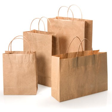 Brown Kraft Paper Bag w/Twisted Paper Handles (12"x5"x10")