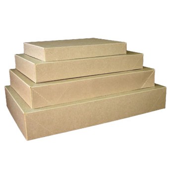 Ohio Valley Recycled Kraft Apparel Box (15"x9 1/2"x2")