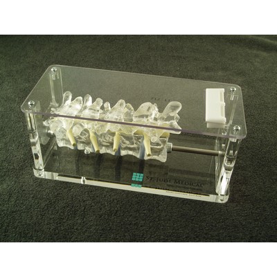 Clear Spine Display