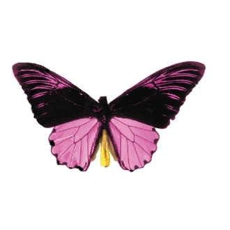 Black & Purple Butterfly Magnet w/ Full Magnetic Back (3 Square Inch)