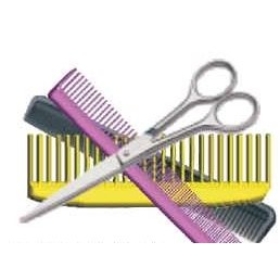 Beautician Combo Executive Magnet w/ Full Magnetic Back (12 Square Inch)