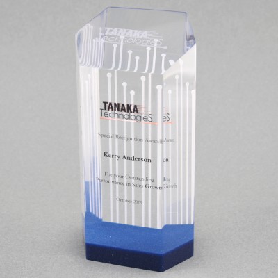 Acrylic Hexagon 1 Award (3"x 6"x 2")