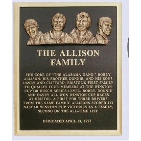 Cast Bronze Plaques (12"x16")