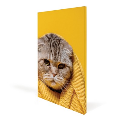 32x48" Canvas Frame (Graphic Package)